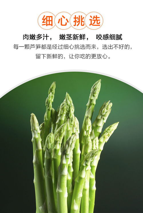 春嘗蘆筍正當時 山東應(yīng)季農(nóng)家特產(chǎn)的新鮮密碼